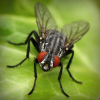 /album/www-cms-superparba/photolia-a01-jpg/