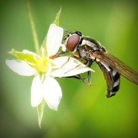 /album/www-cms-superparba/photolia-a02-jpg/
