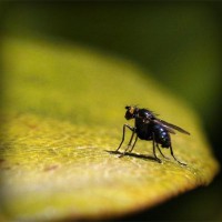/album/www-cms-superparba/photolia-a07-jpg/
