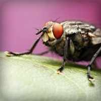/album/www-cms-superparba/photolia-a08-jpg/